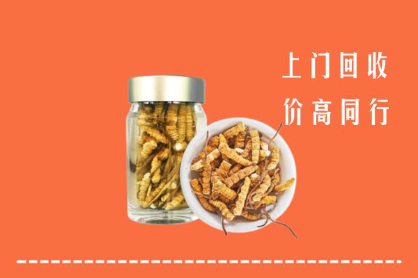 衡山县回收冬虫夏草